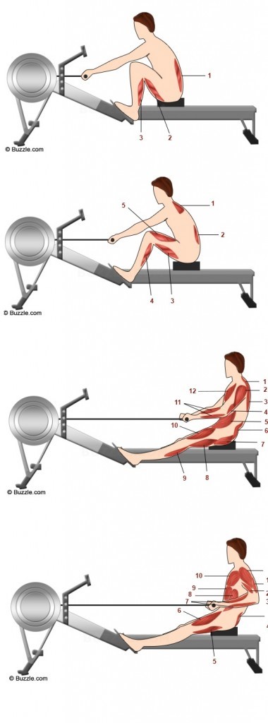 Rowing Machine Benefits And Workouts For Beginners - [RECOMMENDED 2020]