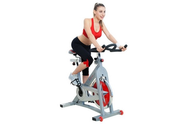 Sunny Health & Fitness SF-B901 Pro Indoor Cycling Bike