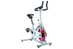 Sunny Health and Fitness Indoor Cycling Bike SF-B1203