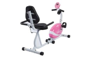 Sunny Health And Fitness P8400 Pink Magnetic Recumbent Bike