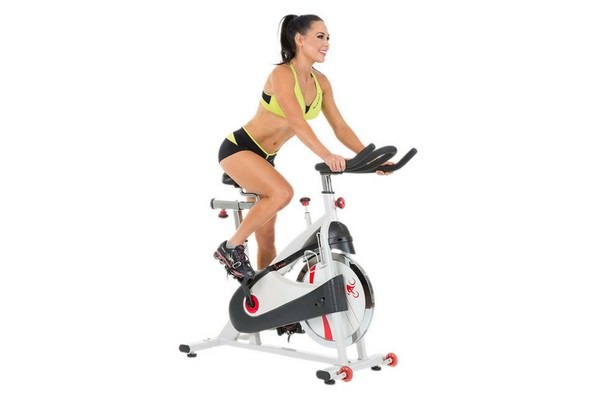 Sunny Health & Fitness SF-B1509 Premium Indoor Cycling Exercise Bike